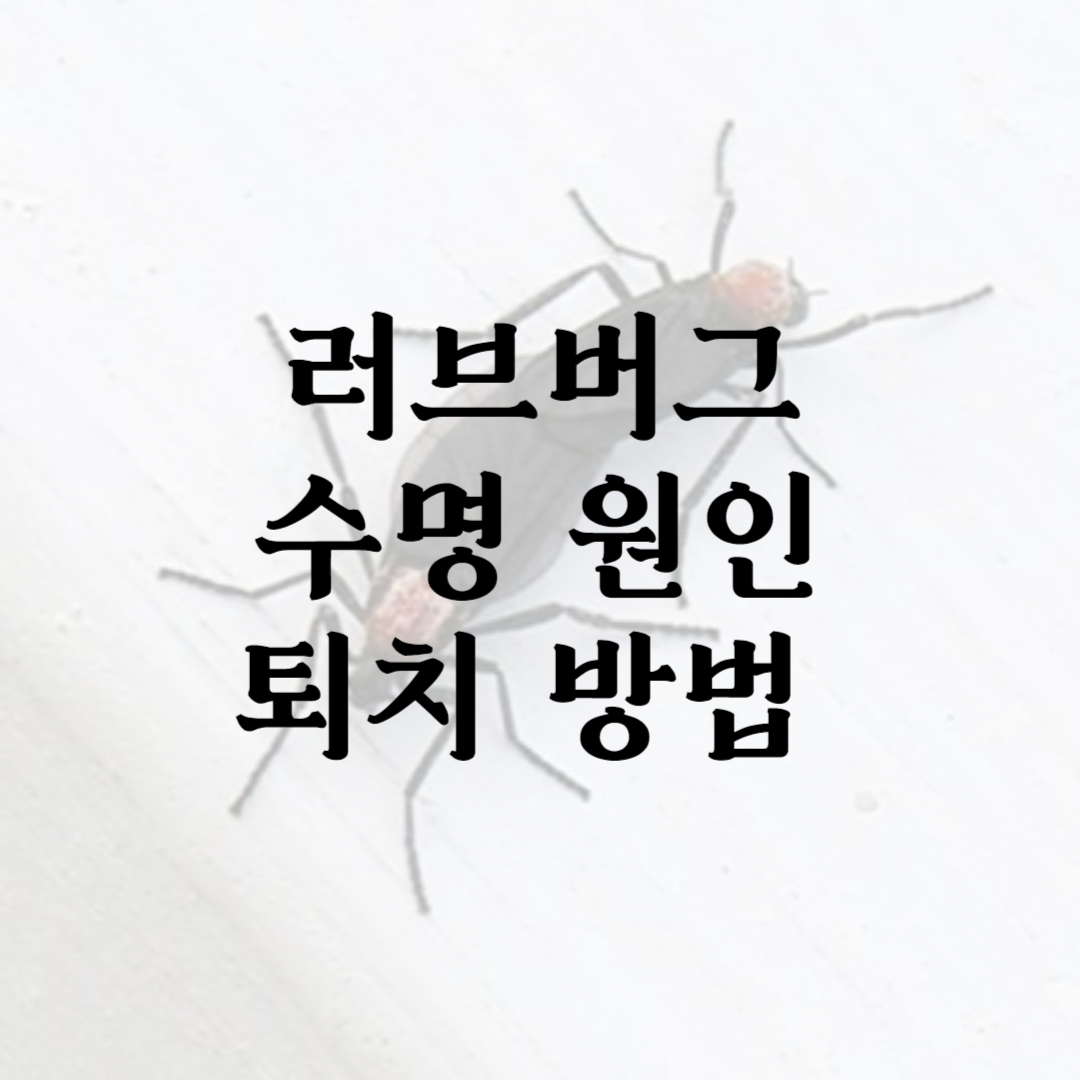 러브버그 수명 원인 퇴치방법