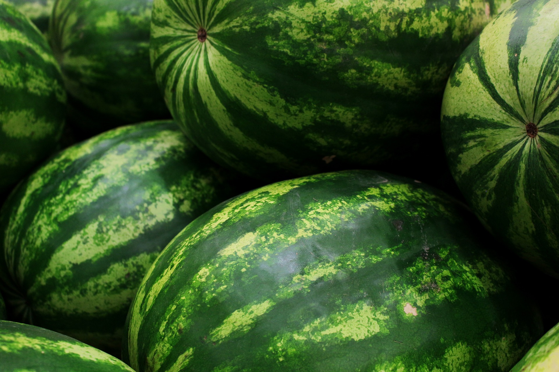 watermelons-5318938_1920-2
